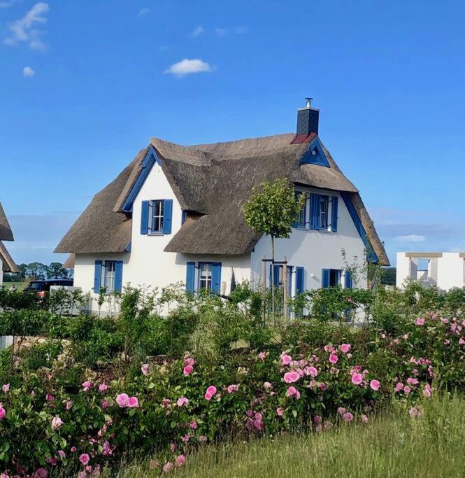 Reetdachhaus Seasons Mit Kamin & Sauna Groß Schwansee Buitenkant foto